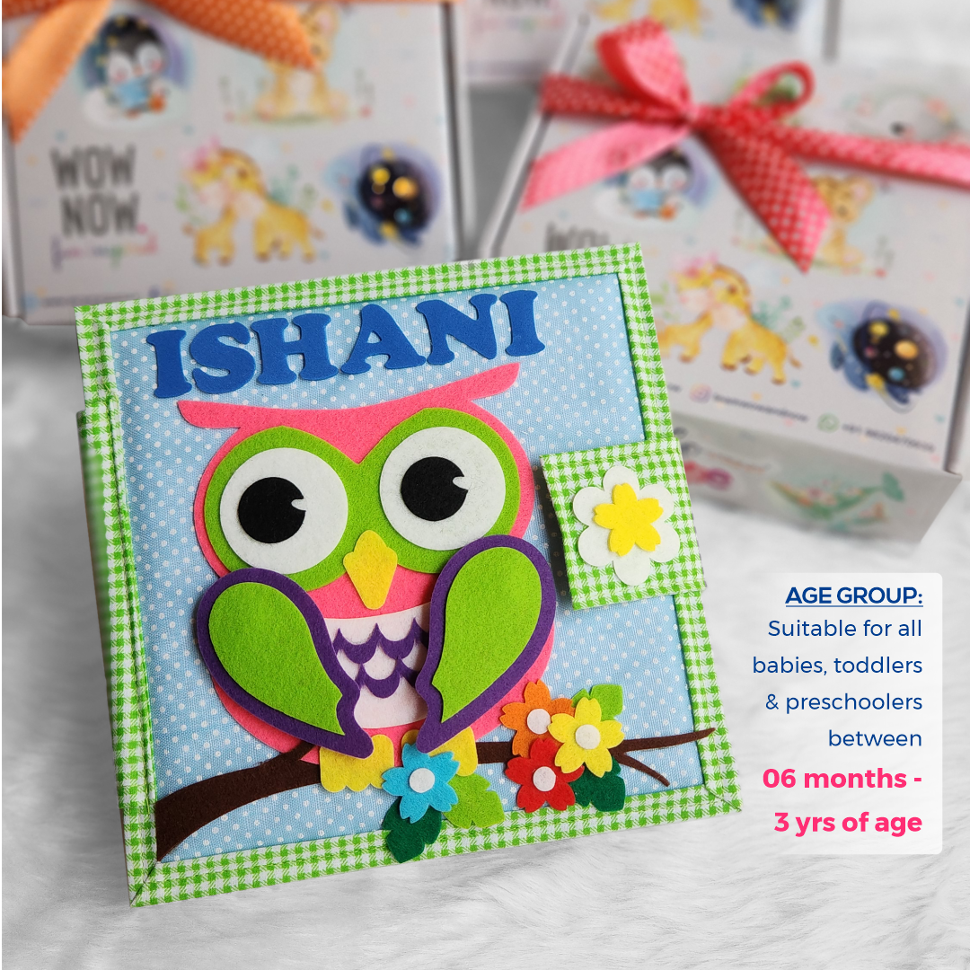 Copy of Copy of quiet book 1